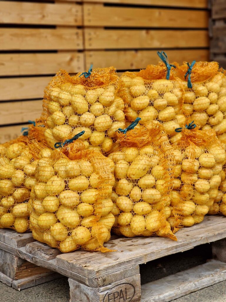 Frisch geerntete Kartoffeln in Säcken