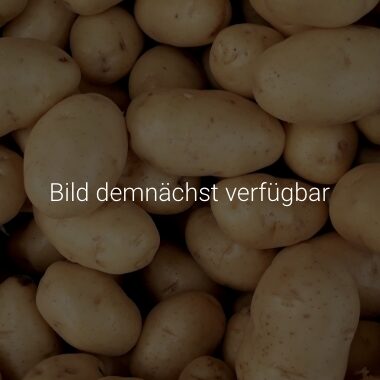 Platzhalterbild (Bild demnächster verfügbar)